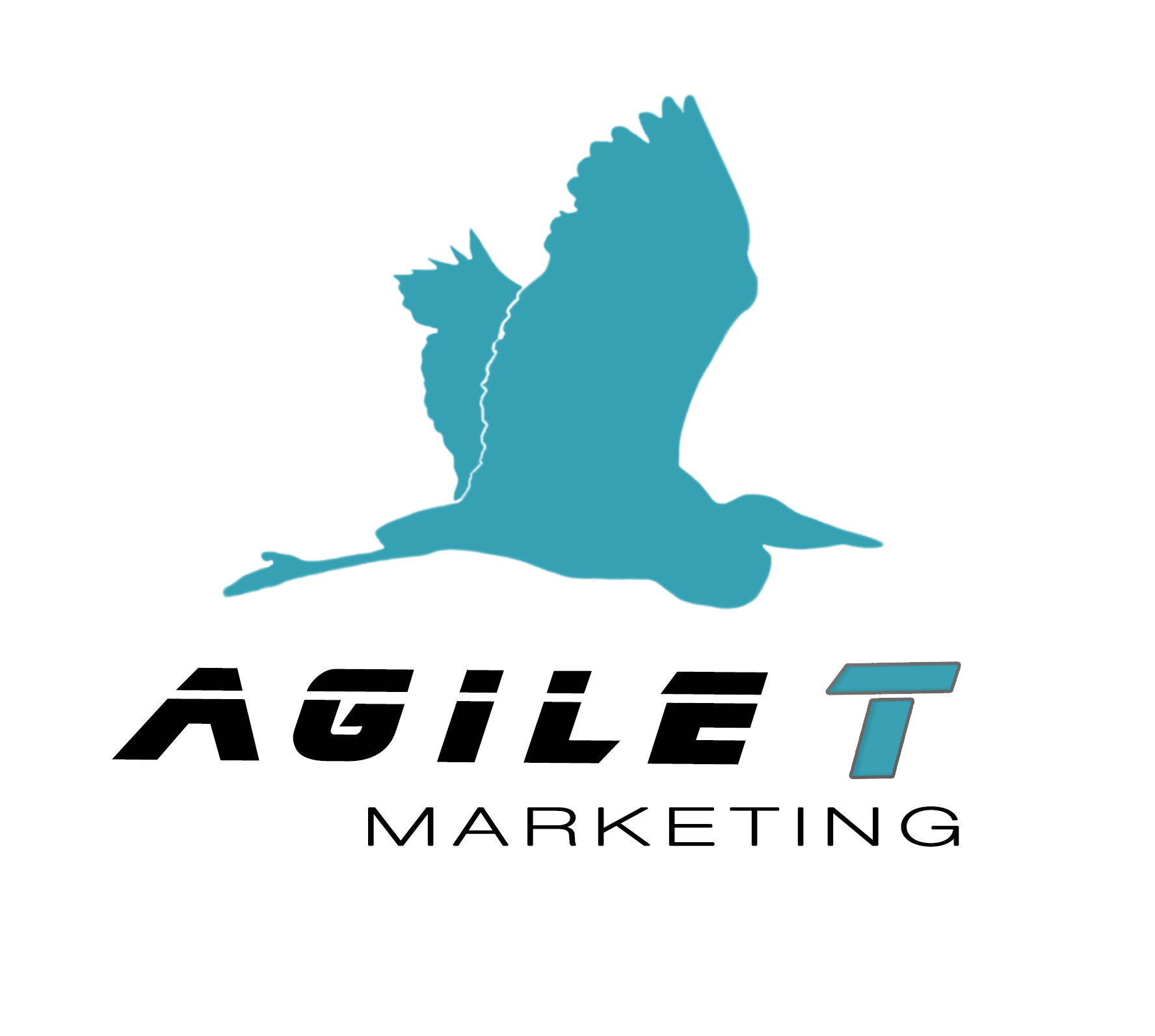 Agile T Marketing